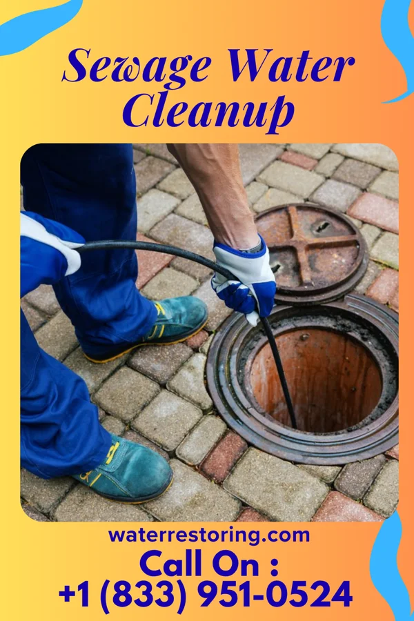 Sewage Water Cleanup in Bothell West, WA